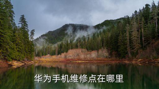 华为手机维修点在哪里