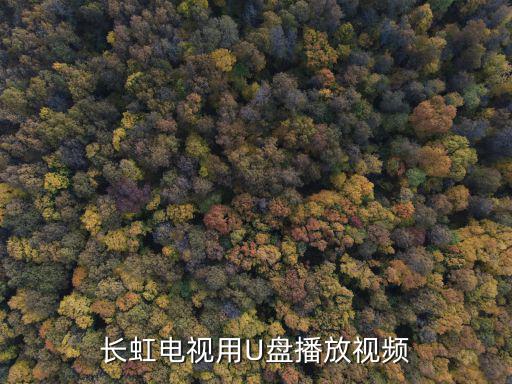 长虹电视用U盘播放视频