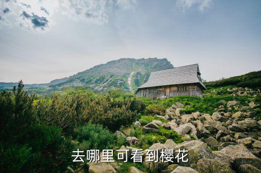 去哪里可看到樱花