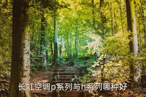 长虹空调p系列与h系列哪种好