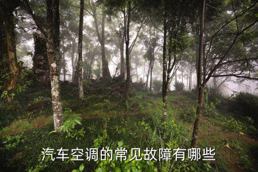 汽车空调的常见故障有哪些