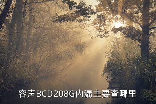 容声BCD208G内漏主要查哪里