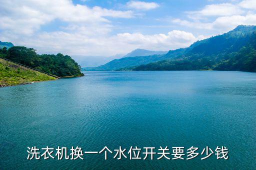 洗衣机水位开关哪里买，全自动洗衣机的水位开关在什么地方谢谢