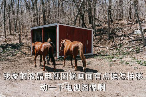 我家的液晶电视图像画面有点偏怎样移动一下电视图像啊