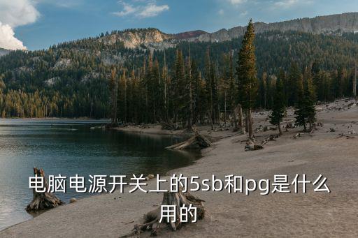 电脑电源开关上的5sb和pg是什么用的