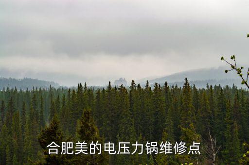 合肥美的电压力锅维修点