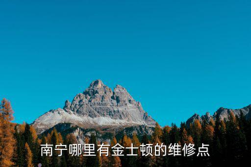 美的电饭煲南宁维修点在哪里，南宁哪里有金士顿的维修点