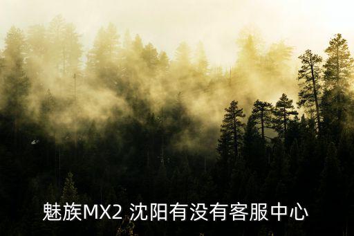 魅族MX2 沈阳有没有客服中心
