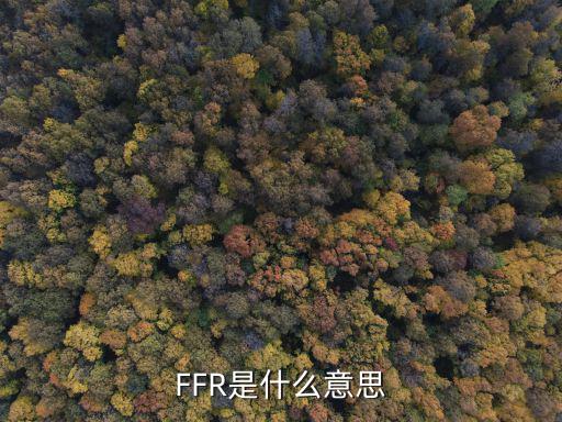 FFR是什么意思