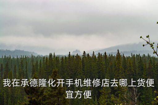 我在承德隆化开手机维修店去哪上货便宜方便