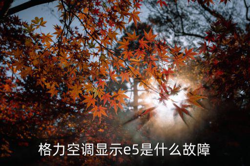 格力空调显示e5是什么故障