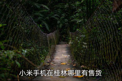 小米手机在桂林哪里有售货