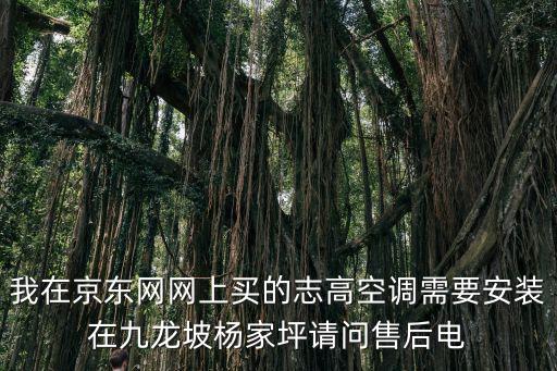 我在京东网网上买的志高空调需要安装在九龙坡杨家坪请问售后电