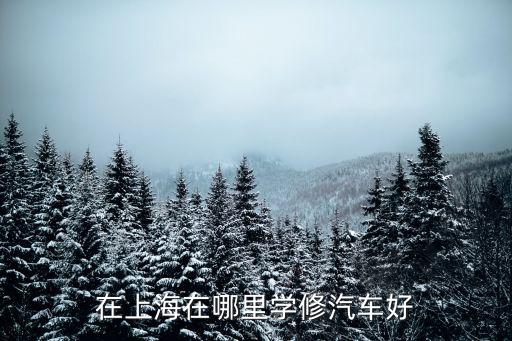 在上海在哪里学修汽车好