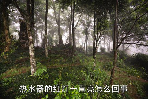热水器指示灯变红什么意思，热水器工作知识亮红色灯是怎么回事