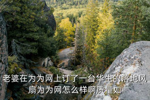 天津哪里卖华生电风扇配件，华生落地扇电风扇底座怎么安装