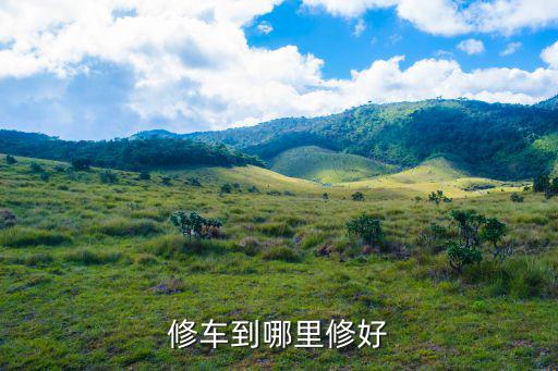 修车到哪里修好