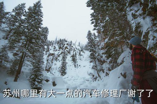 苏州哪里有大一点的汽车修理厂谢了了