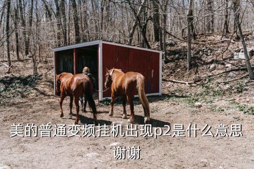 美的普通变频挂机出现p2是什么意思谢谢