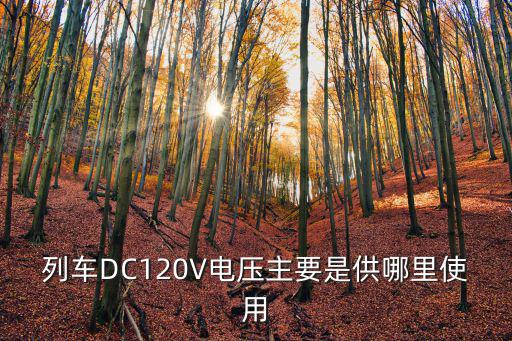vgl电压供哪里用，列车DC120V电压主要是供哪里使用