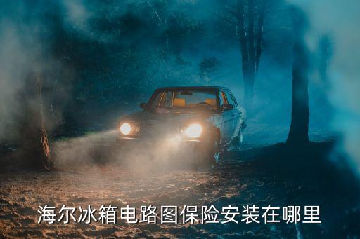 海尔冰箱电路图保险安装在哪里