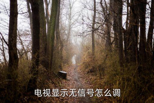 电视显示无信号怎么调