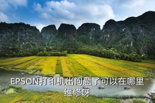 EPSON打印机出问题了可以在哪里维修呀