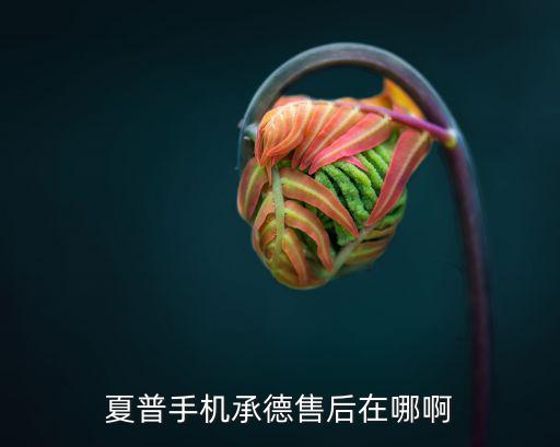 夏普手机承德售后在哪啊