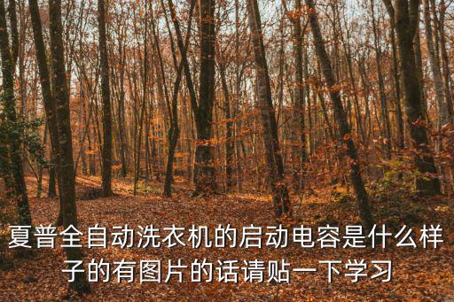 夏普洗衣机电容在哪里，夏普全自动洗衣机的启动电容是什么样子的有图片的话请贴一下学习