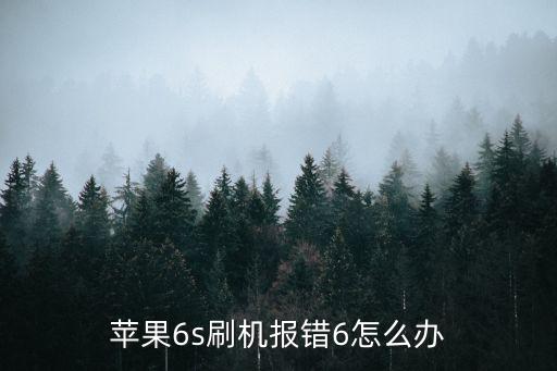 6s刷机报错6是什么情况，6s为什么老是显示6呢