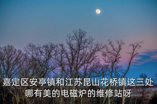 嘉定区安亭镇和江苏昆山花桥镇这三处哪有美的电磁炉的维修站呀
