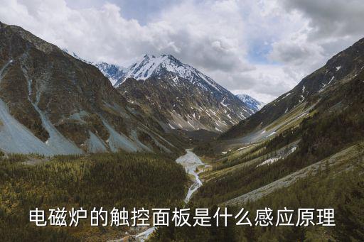 电磁炉触控按键是什么意思，电磁炉触控和触摸什么区别