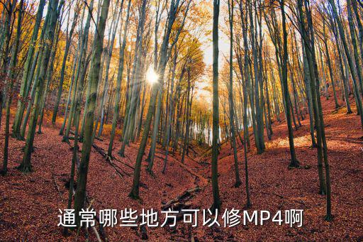 哪里能修mp4，通常哪些地方可以修MP4啊