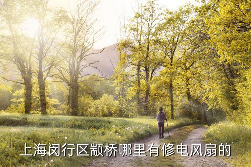 上海闵行区颛桥哪里有修电风扇的