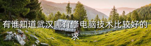 有谁知道武汉哪有修电脑技术比较好的求