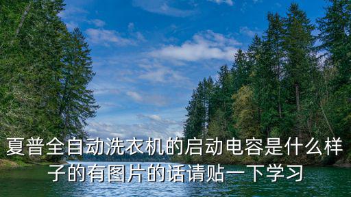 夏普全自动洗衣机的启动电容是什么样子的有图片的话请贴一下学习