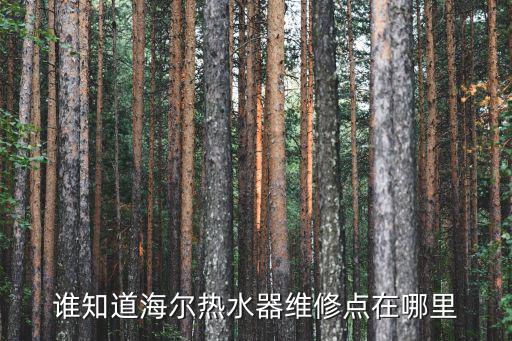谁知道海尔热水器维修点在哪里