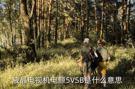 液晶电视机电源5VSB是什么意思