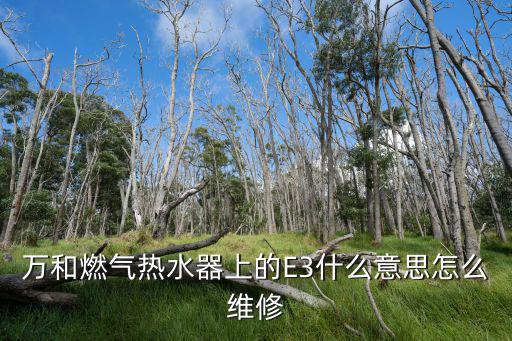 万和燃气热水器上的E3什么意思怎么维修