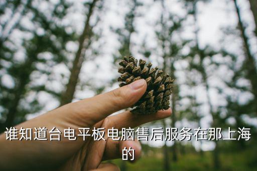 台电平板电脑 上海哪里修，上海台电科技mp5维修点