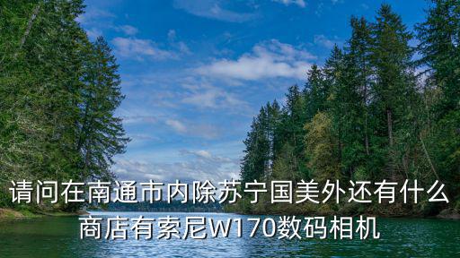 请问在南通市内除苏宁国美外还有什么商店有索尼W170数码相机
