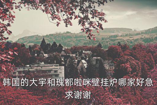 韩国的大宇和瑰都啦咪壁挂炉哪家好急求谢谢