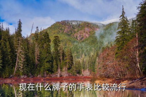 当今什么手表最时尚，哪个款式的手表比较潮流