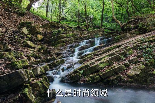 什么是时尚领域