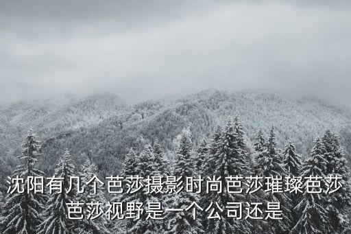 沈阳有几个芭莎摄影时尚芭莎璀璨芭莎芭莎视野是一个公司还是