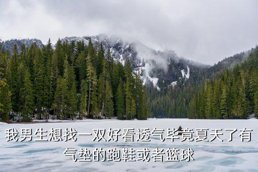 男士夏季透气鞋哪个品牌时尚潮流，我男生想找一双好看透气毕竟夏天了有气垫的跑鞋或者篮球