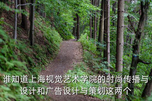 谁知道上海视觉艺术学院的时尚传播与设计和广告设计与策划这两个