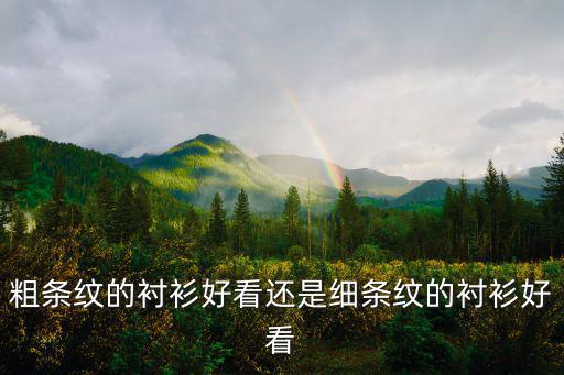 粗条纹的衬衫好看还是细条纹的衬衫好看