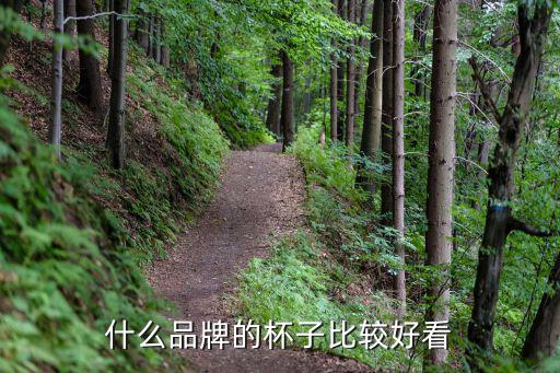 水杯什么牌子好看时尚，想给女朋友买个杯子不知哪个牌子的比较时尚好看