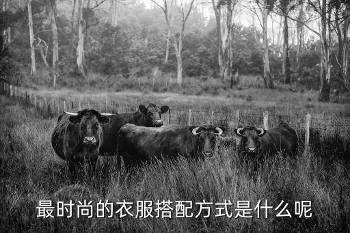 最时尚的衣服搭配方式是什么呢